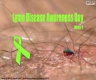 Ημέρα Ευαισθητοποίησης για τη νόσο του Lyme